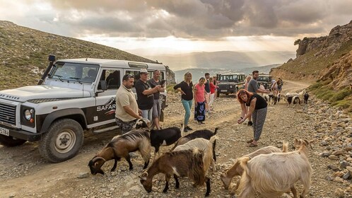 Excursión en 4x4 por las Montañas de Creta con Comida en Taverna