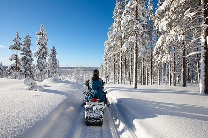 Easy Snowmobile Safari