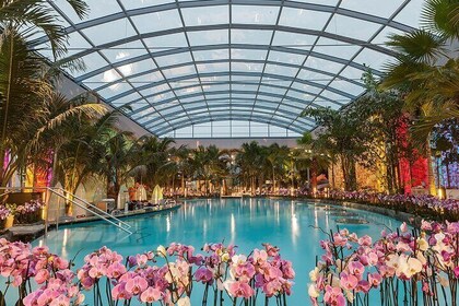 Relax and Fun at Thermal Spa Bucharest (Admission Ticket)