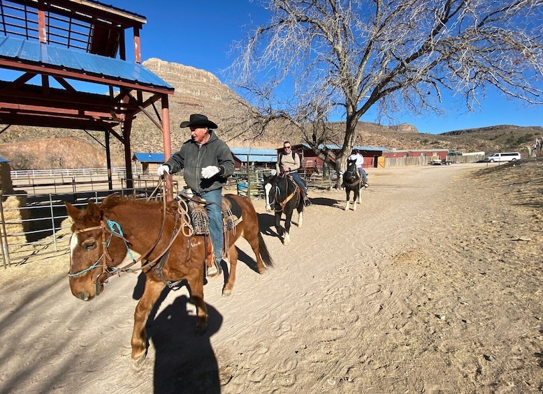 Horseback Ride thru Joshua Tree Forest with Buffalo & Lunch