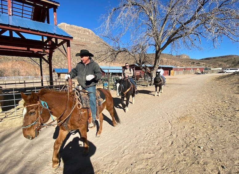 Picture 21 for Activity Las Vegas: Joshua Tree Forest Horseback Ride with Lunch