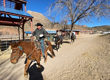 Paseo a caballo por el bosque de Joshua Tree con búfalo y almuerzo