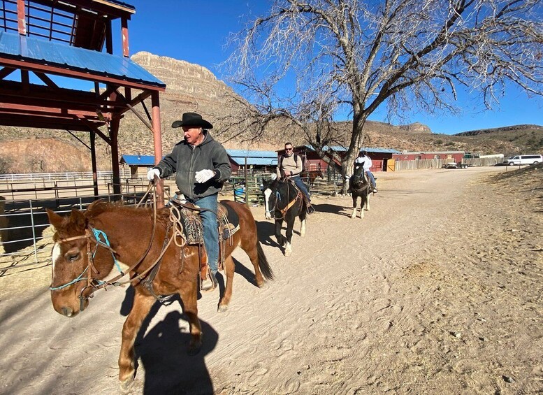 Horseback Ride thru Joshua Tree Forest with Buffalo & Lunch