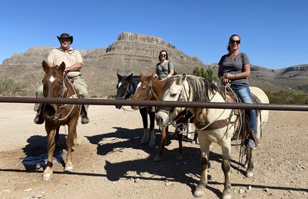 Las Vegas: Joshua Tree Forest paardrijtocht met lunch