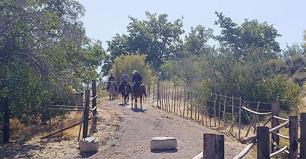 Picture 17 for Activity Joshua Tree Forest: Horseback Ride with Lunch and Pickup