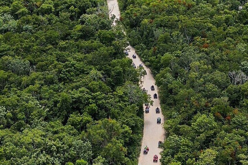 Jungle ATV, Cenote & Monkey Bonding Tour