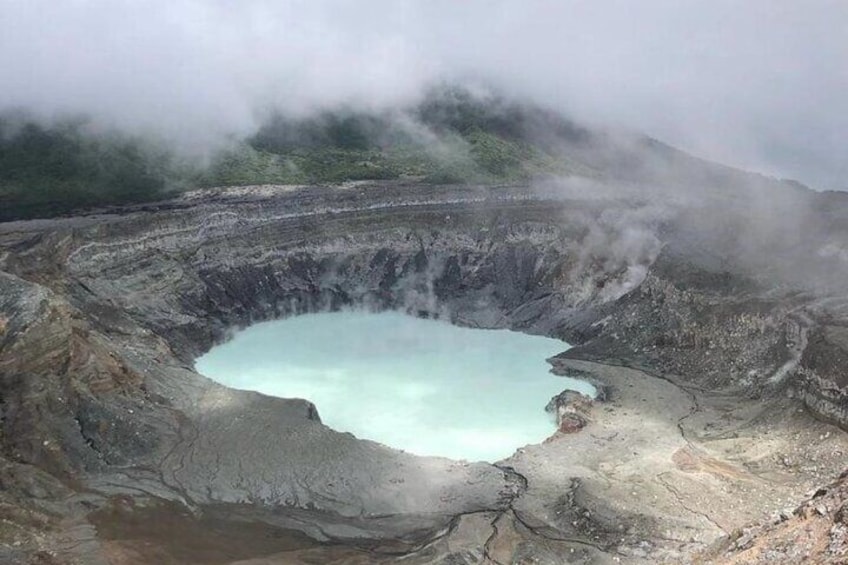  Poas Volcano National Park Tour and Bird watching in Costa Rica