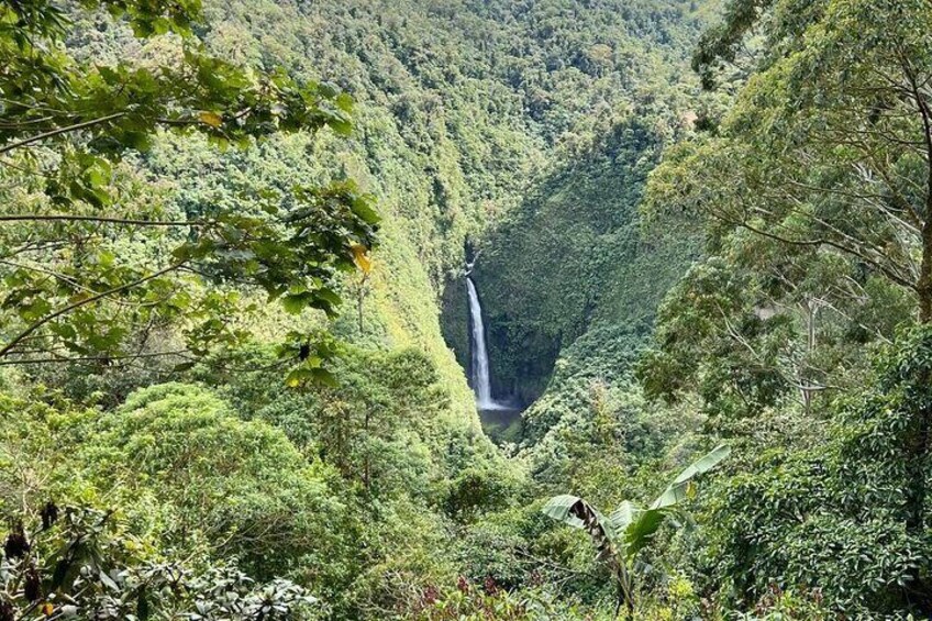  Poas Volcano National Park Tour and Bird watching in Costa Rica