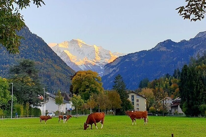 Interlaken sightseeing: Lauterbrunnen, Brienz, Interlaken