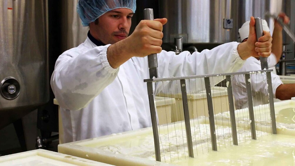 Picture 3 for Activity Dolianova: visit and workshop in a cheese factory