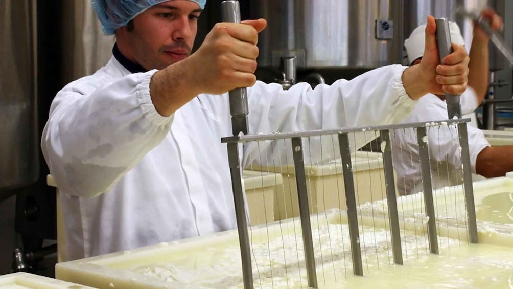 Picture 3 for Activity Dolianova: Visit a cheese-making local company w/ workshop
