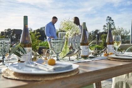 Tour privado de vinos de lujo por el valle de Casablanca