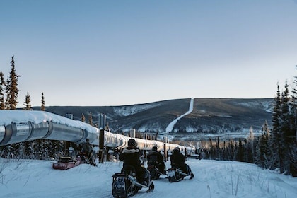 1 Hour Snowmobile Adventure in Boreal Forest