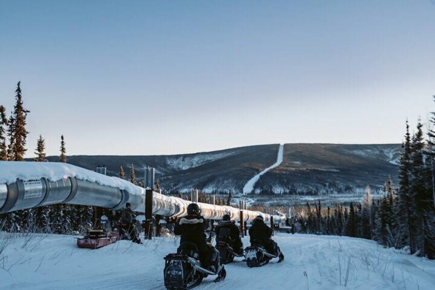 1 Hour Snowmobile Adventure in Boreal Forest