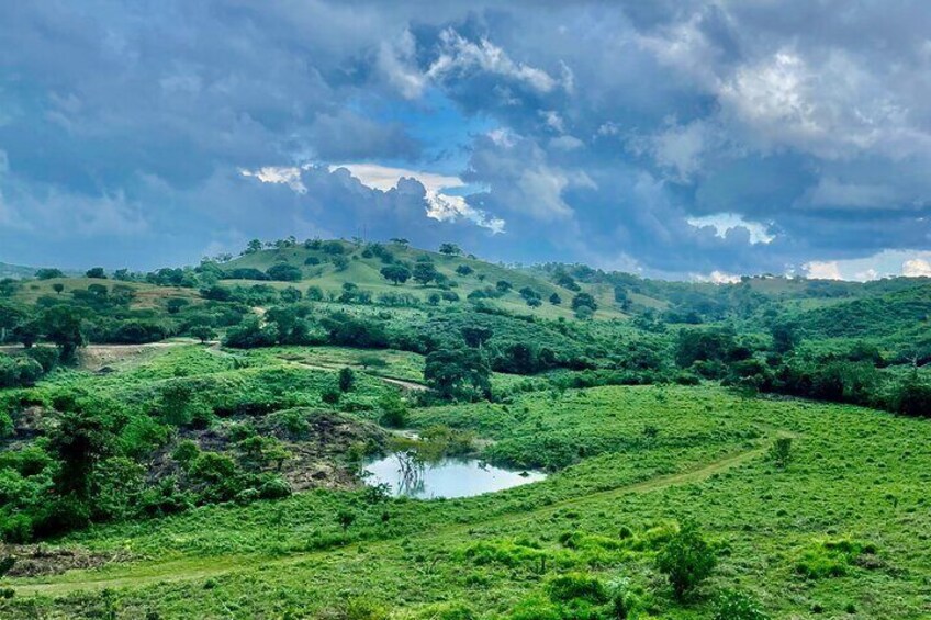 UTV Safari: Explore Wildlife & Nature at Fundación Loros
