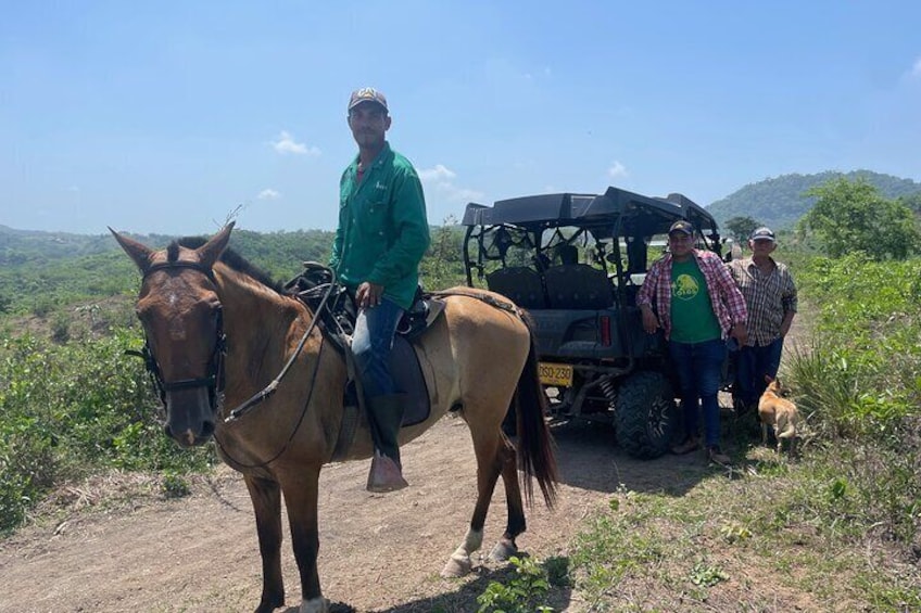 UTV Safari: Explore Wildlife & Nature at Fundación Loros