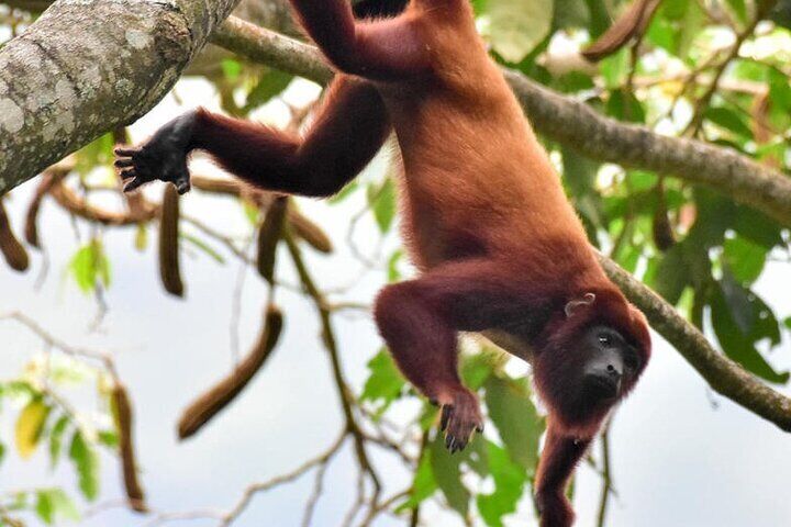 UTV Safari in a Wildlife-Filled Nature Reserve Near Cartagena