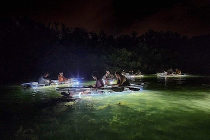 Siesta Key, FL - Clear Kayak LED Night Glass Bottom Tour