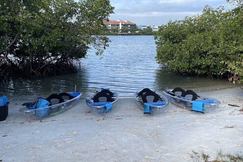 Clear Kayak Eco Tour in Jupiter, Florida