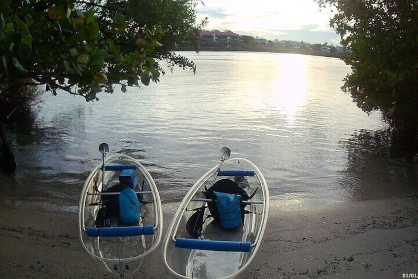 2 Hours Clear Kayaking Eco Tour in Jupiter Florida