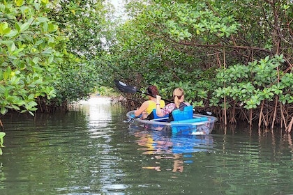 Clear Kayak Eco Tour in Jupiter, Florida