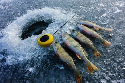 Ice Fishing in the Arctic