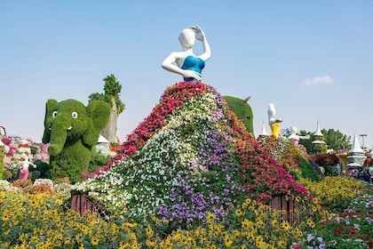 Miracle Garden and Butterfly Garden Combo