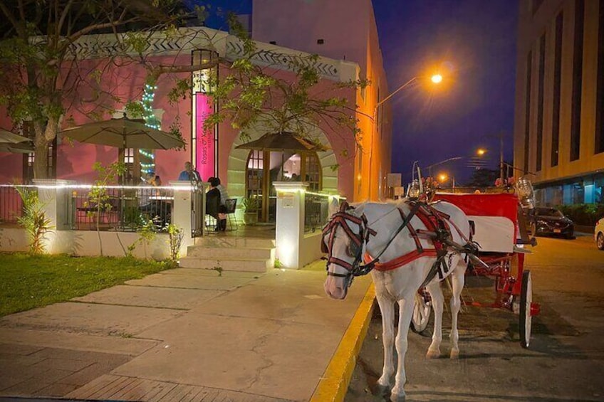 Private Tour in Mérida with Horse Drawn Carriage and Photo Shoot 