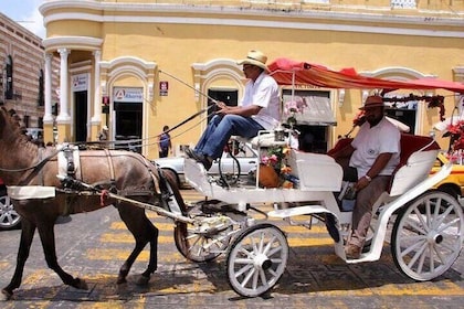 Private Tour in Mérida with Horse Drawn Carriage and Photo Shoot