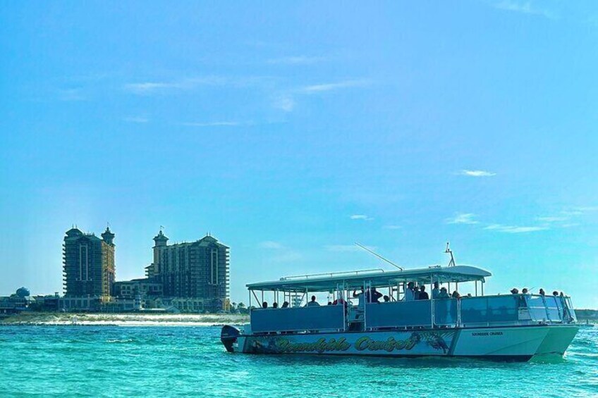 2 Hours Guided Afternoon Dolphin Tour in Florida