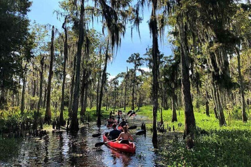 Manchac Swamp Kayak Tour - Extended 