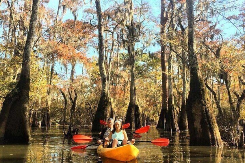 Manchac Swamp Kayak Tour - Extended 