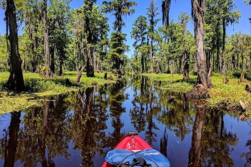 Manchac Swamp Kayak Tour - Extended 