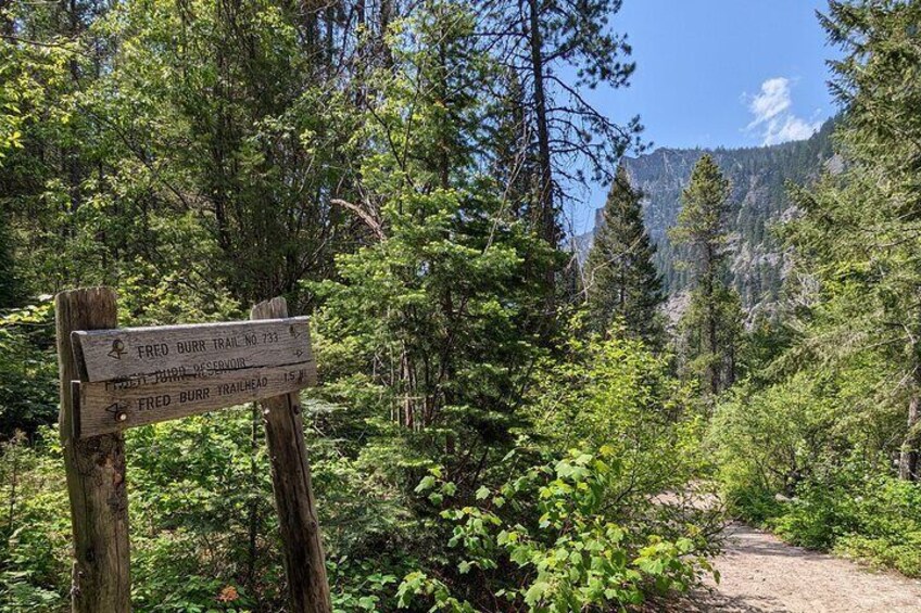 Hike in a beautiful mountain canyon!