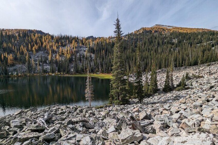 Join a trip in early October to see the famous Montana Larch, the only pine tree that changes color in Autumn!