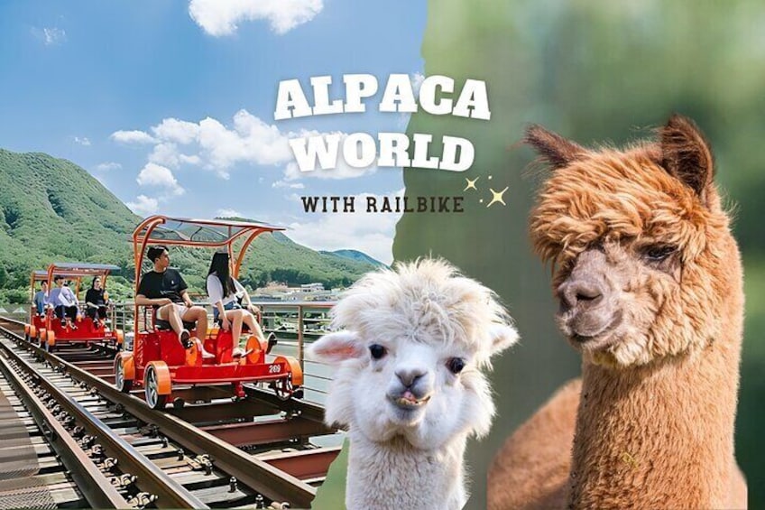 Alpaca World with Gangchon Rail Park One Day Tour
