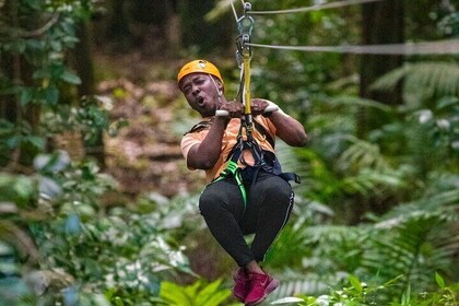 St. Lucia 3 in 1 Combo Adventure: Sky, Trail & Zipline Tour