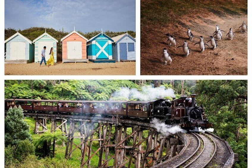 Puffing Billy, Penguin Parade and Bathing Box Tour in Brighton