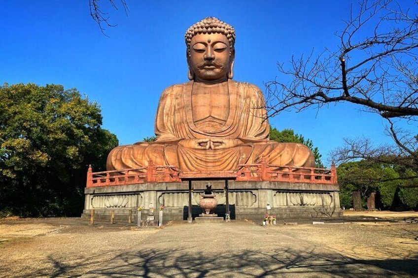 Shurakuen Daibustu Tour from Nagoya