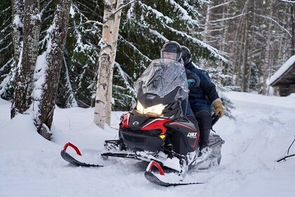 Snowmobile Safari to Arctic Nature