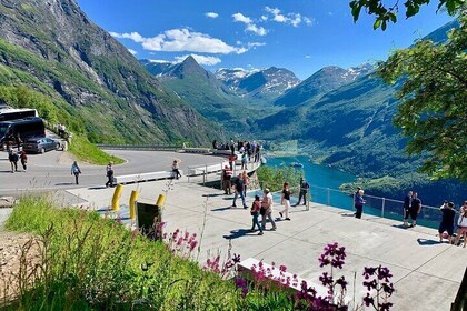 Alesund - Geiranger Private Day Tour