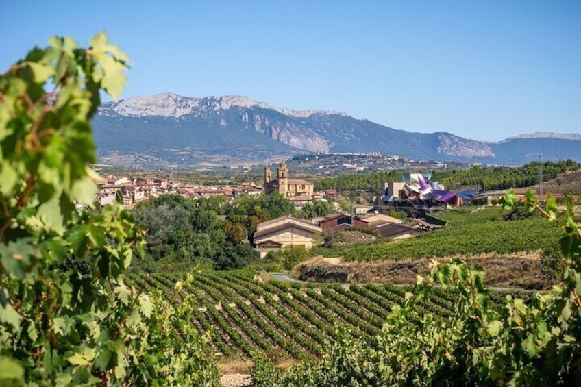Vineyard Voyage: A Wine Lover’s Tour from Bilbao to Rioja