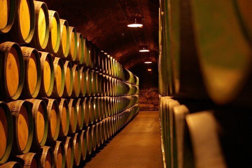 Vineyard Voyage: A Wine Lover’s Tour from Bilbao to Rioja