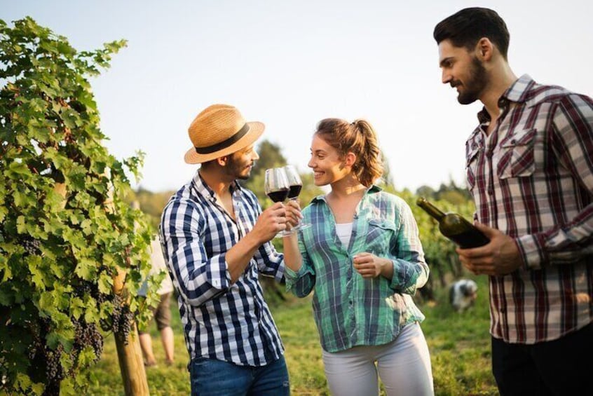 Wine Trails and Medieval Tales Bilbao's Heartland Tour