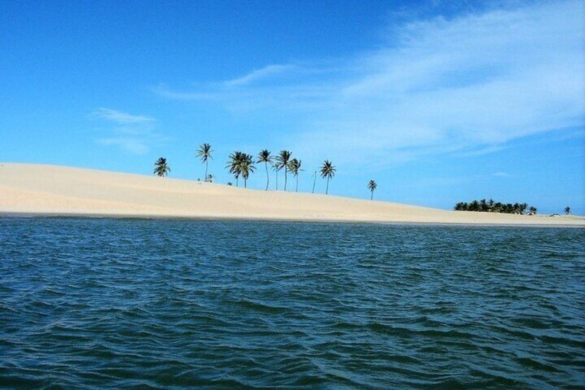 Foz do Rio São Francisco tour surrounded by beautiful moving dunes, which surround its coconut groves.
