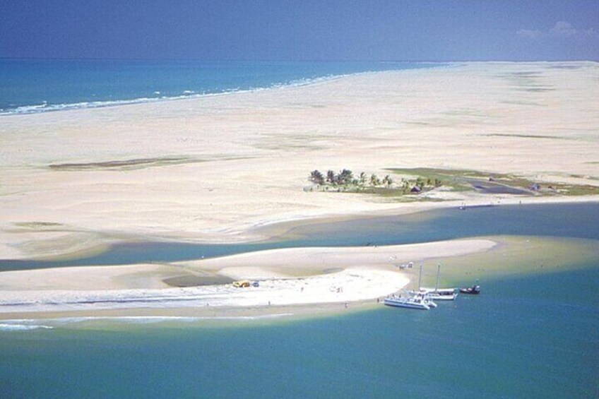 Foz do Rio São Francisco Tour from Maceió