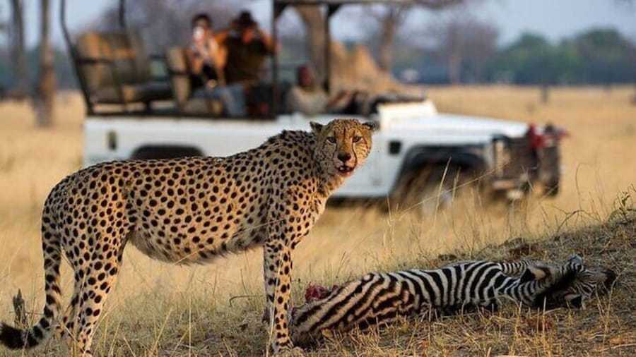 4 Day Garden Route Small Group Tour Fr CapeTown - Departs Mondays
