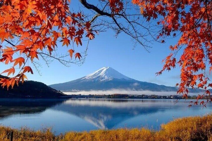 Full Day Private Tour with English Speaking Guide in Mount Fuji