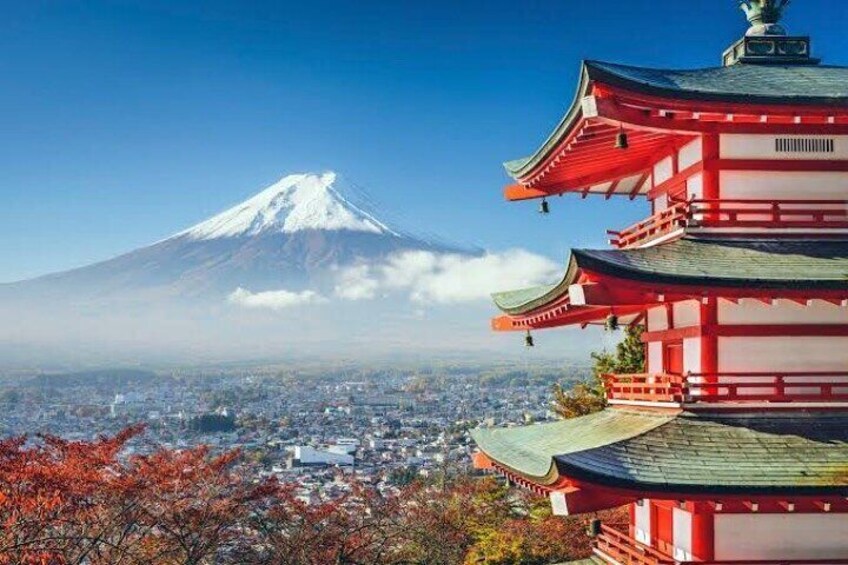 Full Day Private Tour With English Speaking Guide in Mount Fuji 