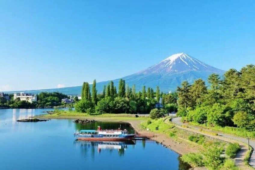 Full Day Private Tour with English Speaking Guide in Mount Fuji